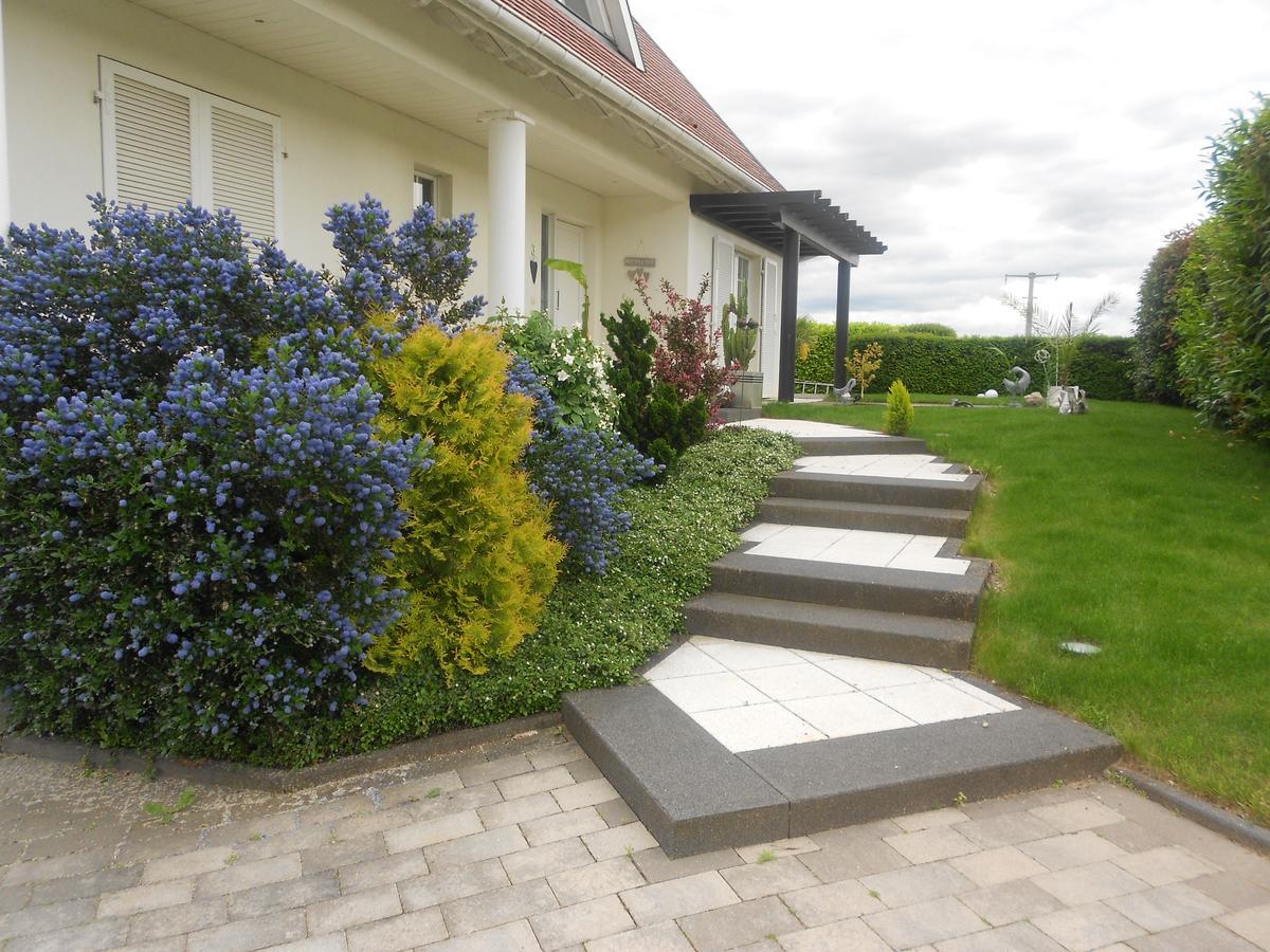 Bed and Breakfast Au Coeur Du Vignoble Оршвиллер Экстерьер фото